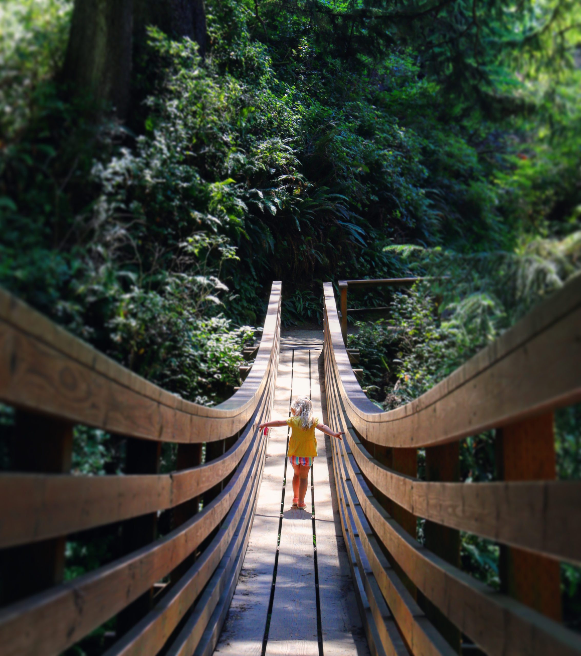 Bridge