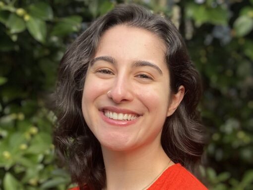 Allison Palazzotto, MA